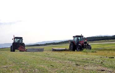 空港除草作業
